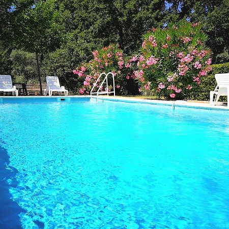 Hotel Au Bien Etre Piscine Chauffee Villecroze Esterno foto